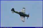 Sea-Fury-01.JPG (37483 Byte)