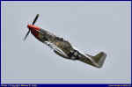 Mustang-01.JPG (42638 Byte)