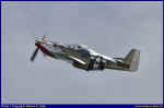 Mustang-02.JPG (40747 Byte)
