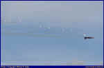 PAS-09.JPG (31480 Byte)