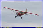 Piper-02.JPG (40450 Byte)