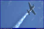 Bearcat-08.JPG (37378 Byte)