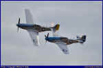 Mustang-07.JPG (42371 Byte)