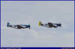 Mustang-08.JPG (36440 Byte)