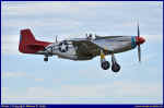 Mustang-09.JPG (53320 Byte)